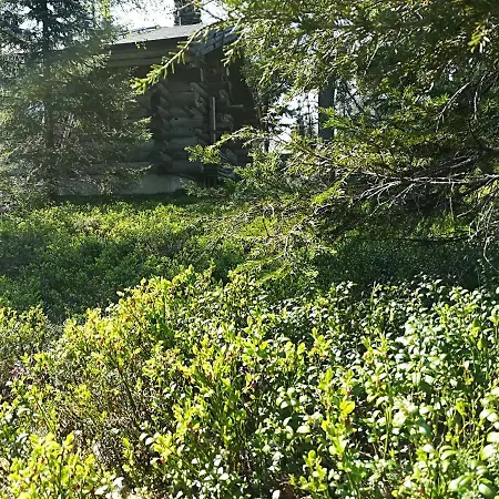 Chalet Lustitupa Σπίτι διακοπών *